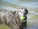 Kids_PondWPups (19)